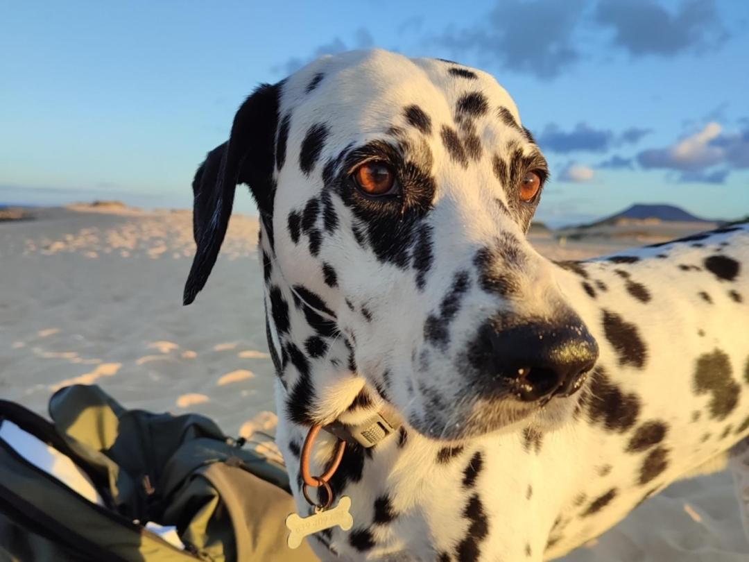 Alojamiento Fuerteventura Tikuna ラ・オリーバ エクステリア 写真